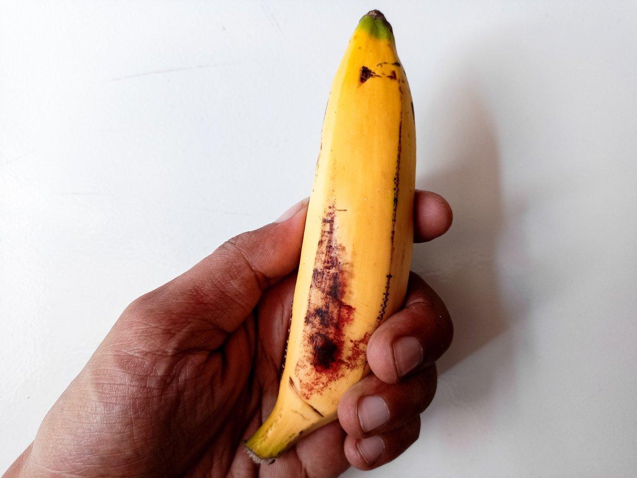 Ukulélé ténor vs concert : quel choix pour les mains adultes et votre budget