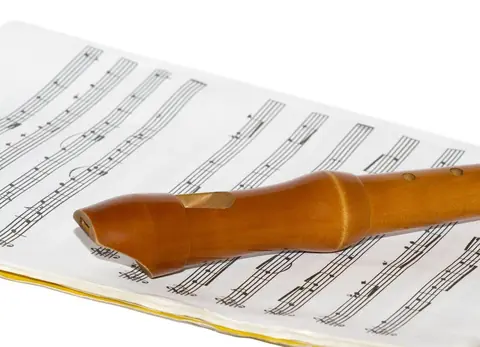 Top 5 des matériaux d’instruments à vent en 2026 : avantages et prix moyens