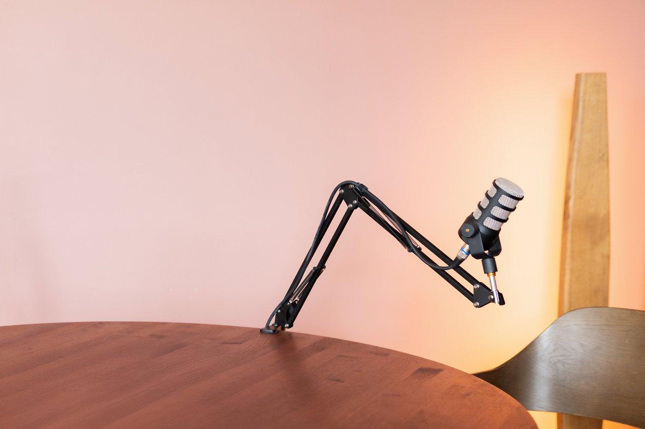 Configuration de microphone condensateur avec support antichoc, câbles XLR et USB pour enregistrement audio de qualité.