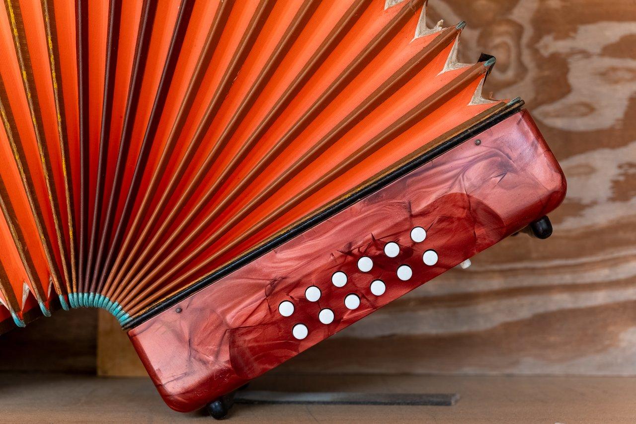 Détail d’un accordéon chromatique closeup, mettant en valeur sa caisse laquée et ses boutons colorés.