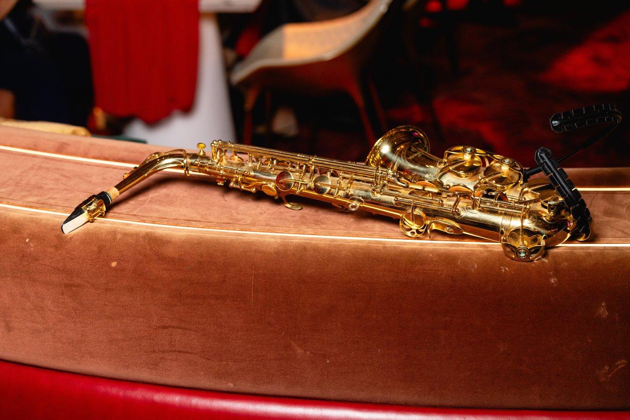 Détail précis d’un alto saxophone en métal doré, mettant en valeur ses clés et sa mécanique.