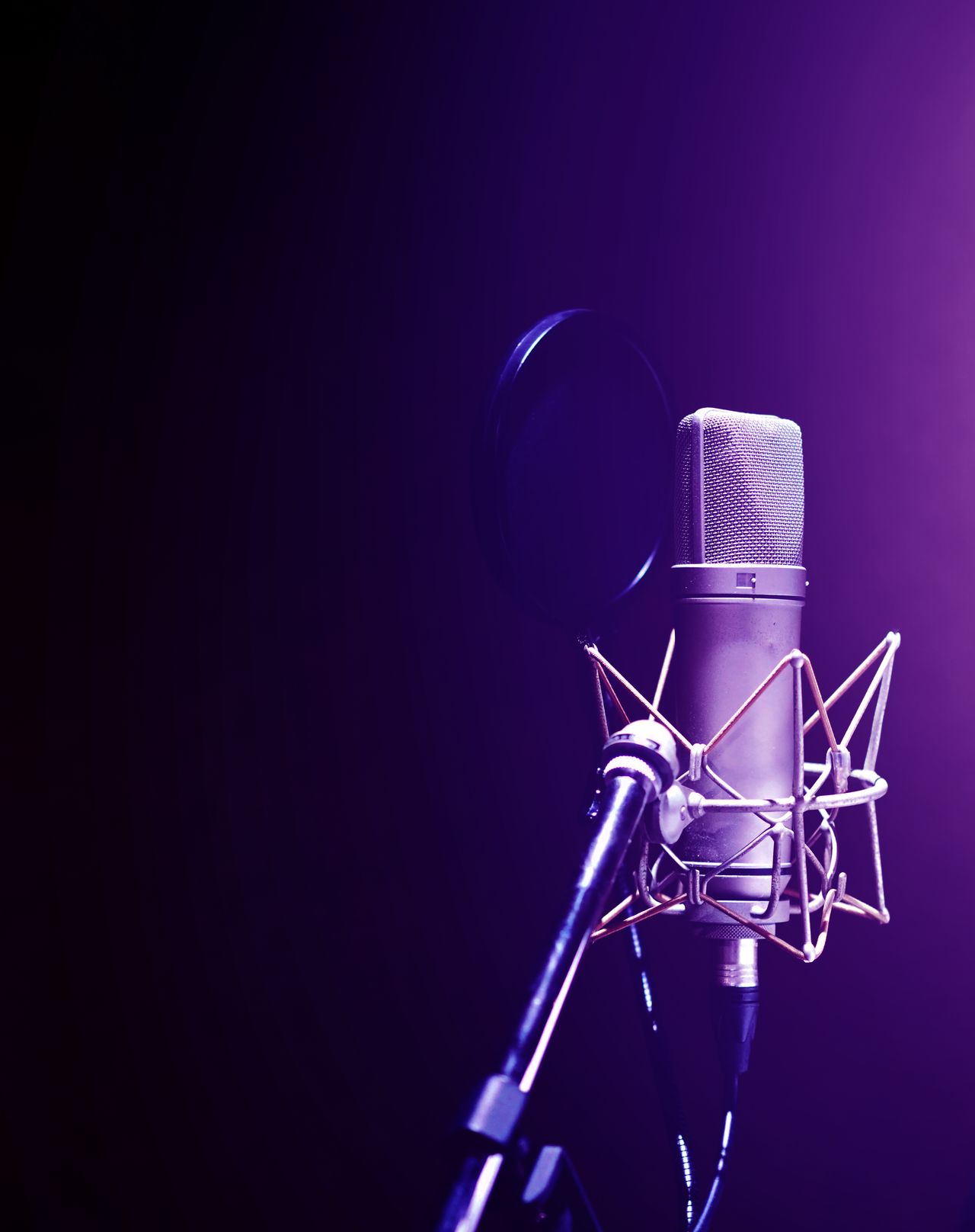 Guides d'achat Microphones & Captation